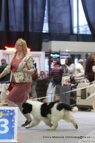 Фотография № 232183