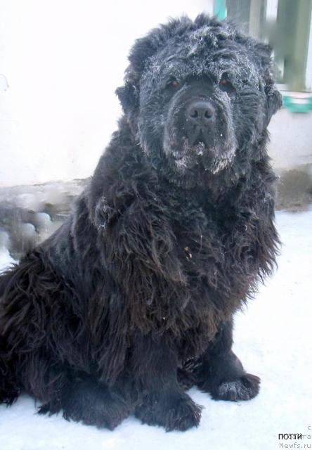 Фотография № 23219