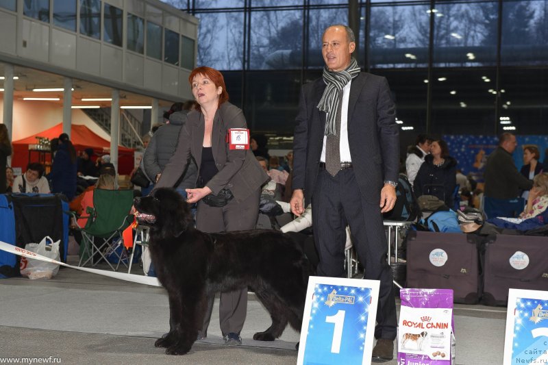 Фотография № 232190