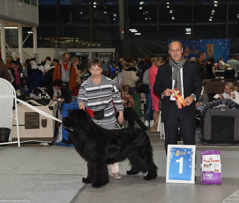 Фотография № 232192