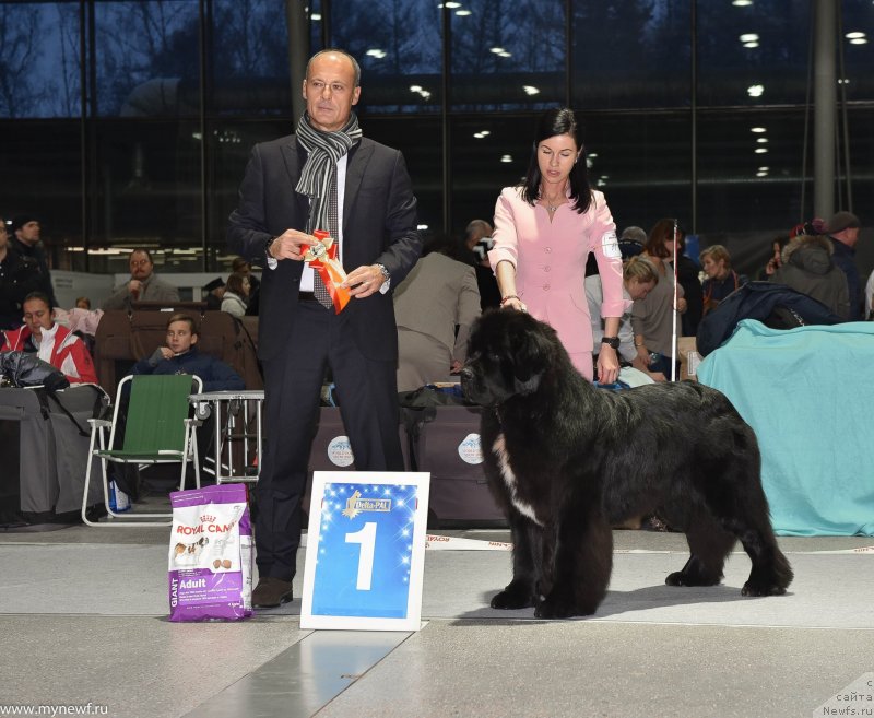 Фотография № 232193