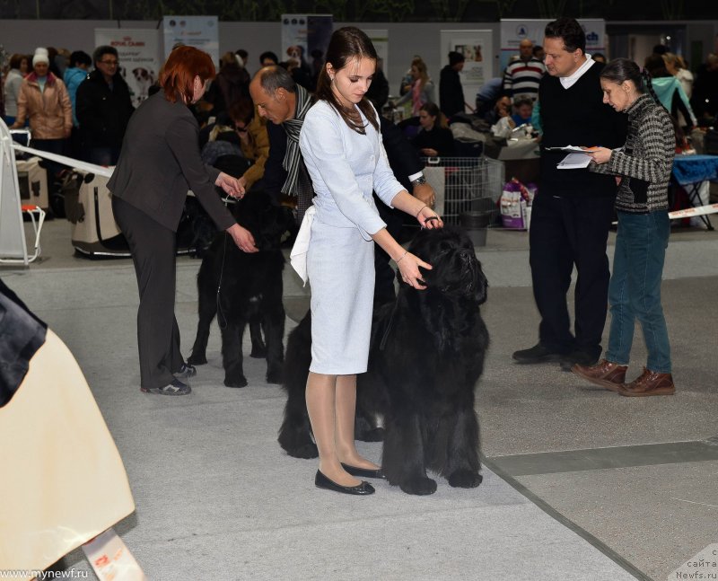 Фотография № 232195