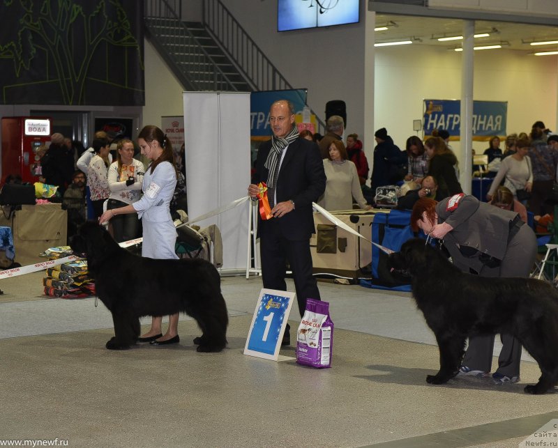 Фотография № 232198