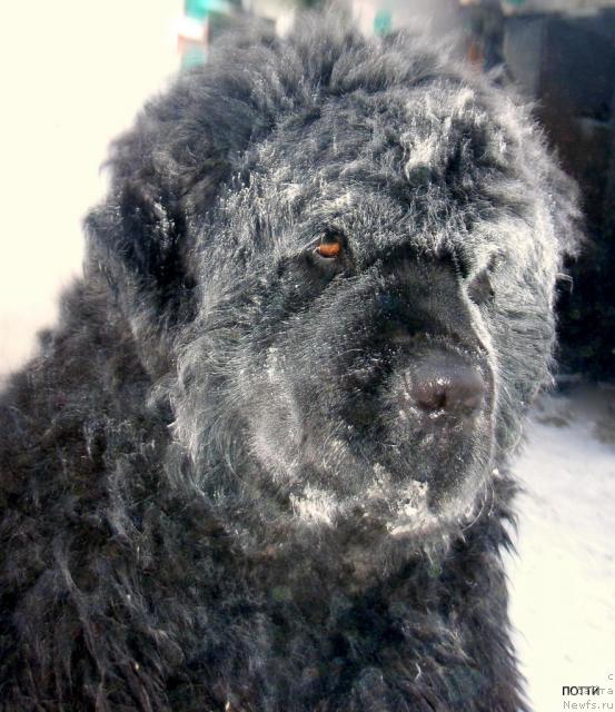 Фотография № 23220