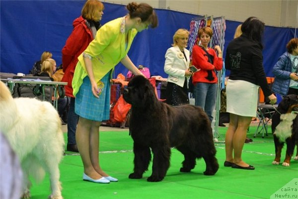 Фотография № 232220