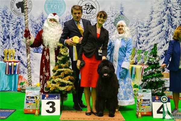 Фотография № 232221