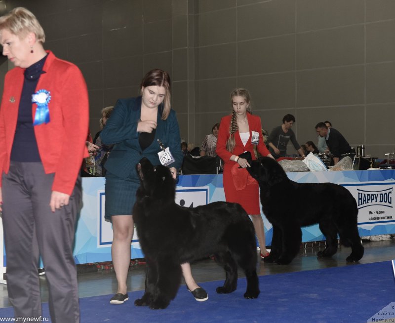 Фотография № 232222