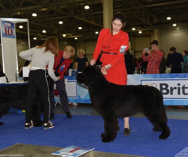 Фотография № 232224