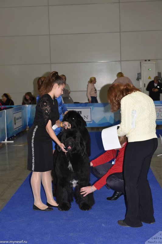 Фотография № 232226