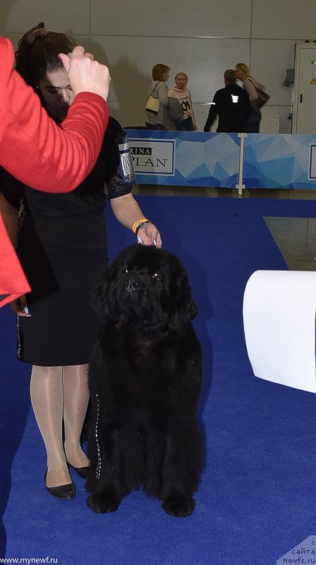 Фотография № 232230