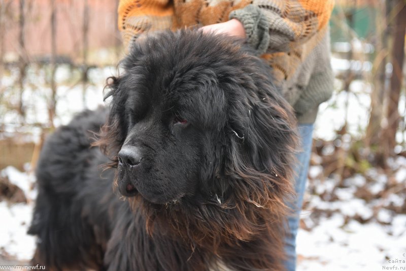 Фотография № 232239