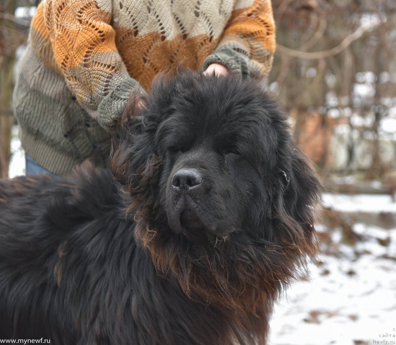 Фотография № 232240