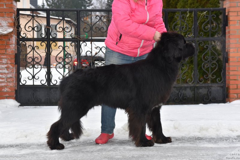 Фотография № 232243