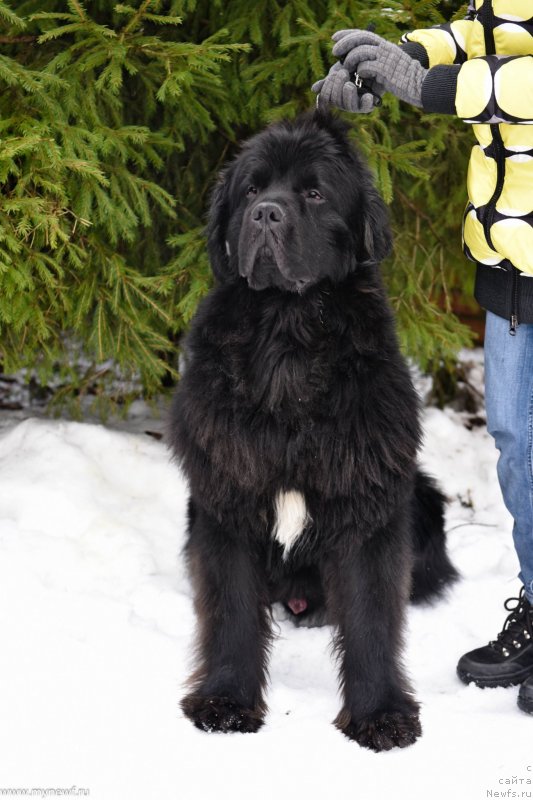 Фотография № 232244