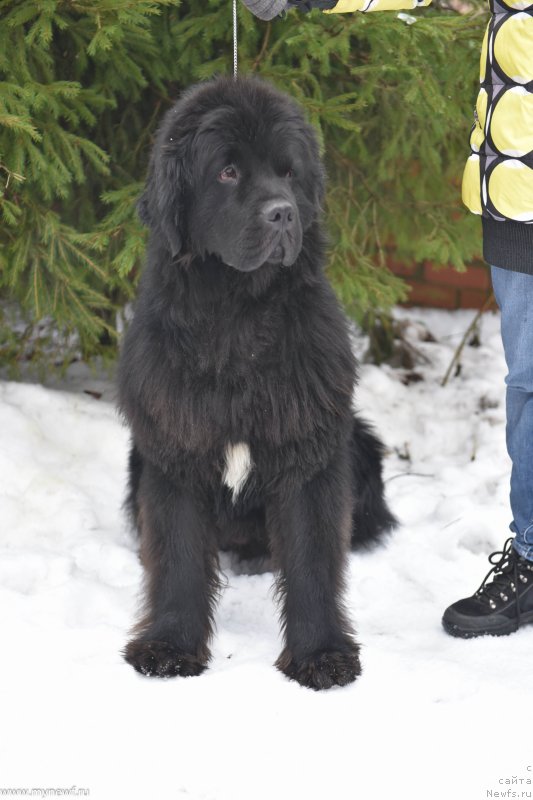 Фотография № 232246