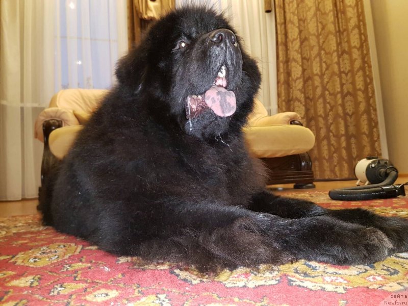 Фотография № 232248