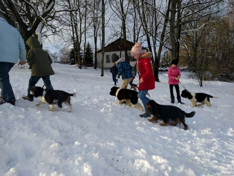 Фотография № 232253