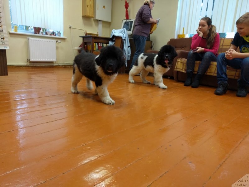 Фотография № 232256