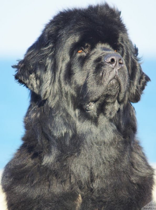 Фотография № 232261