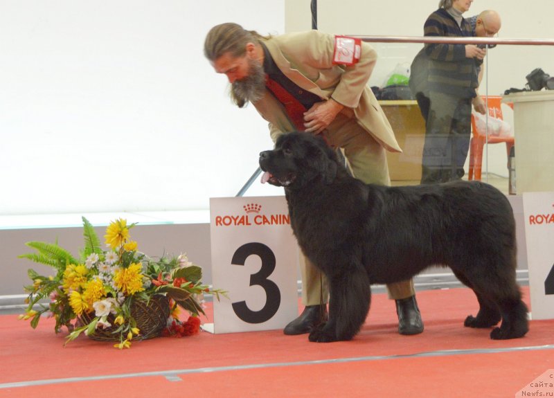 Фотография № 232270