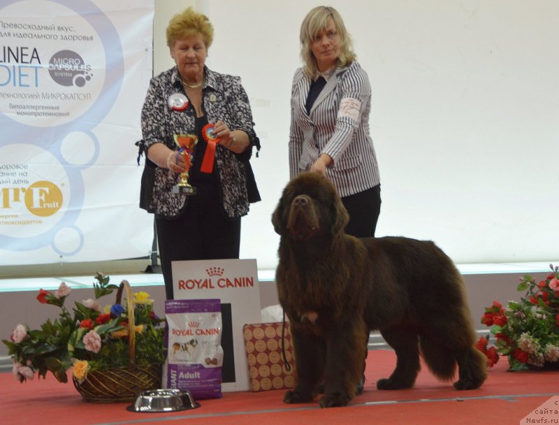 Фотография № 232273