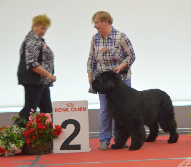 Фотография № 232279