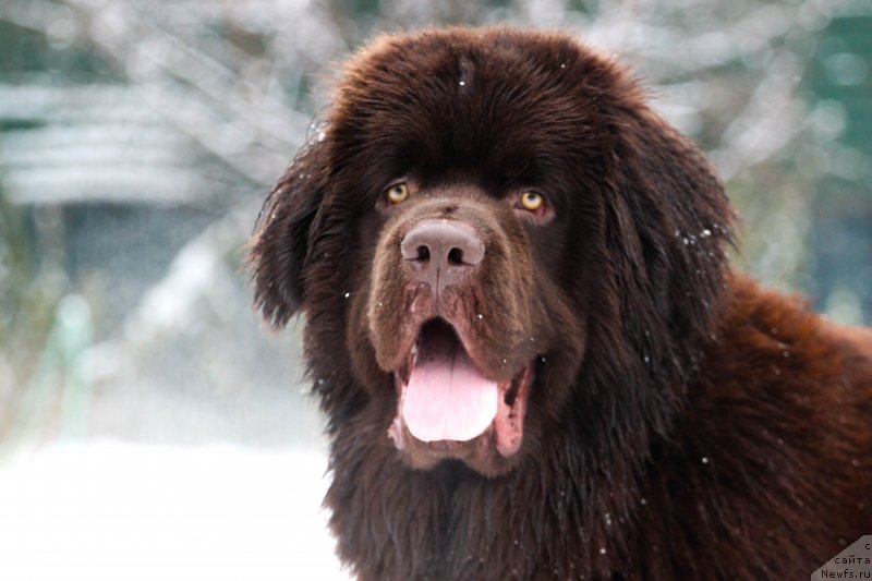 Фотография № 232287