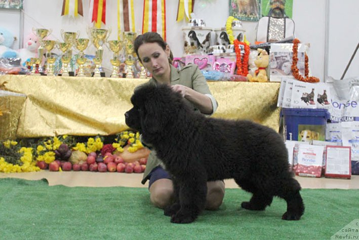 Фотография № 232301