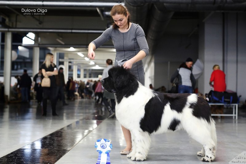 Фотография № 232308