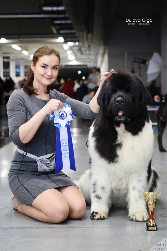 Фотография № 232312