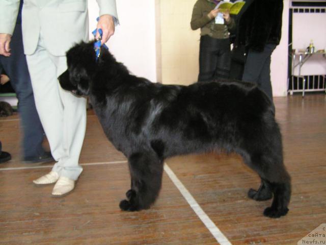 Фотография № 23232