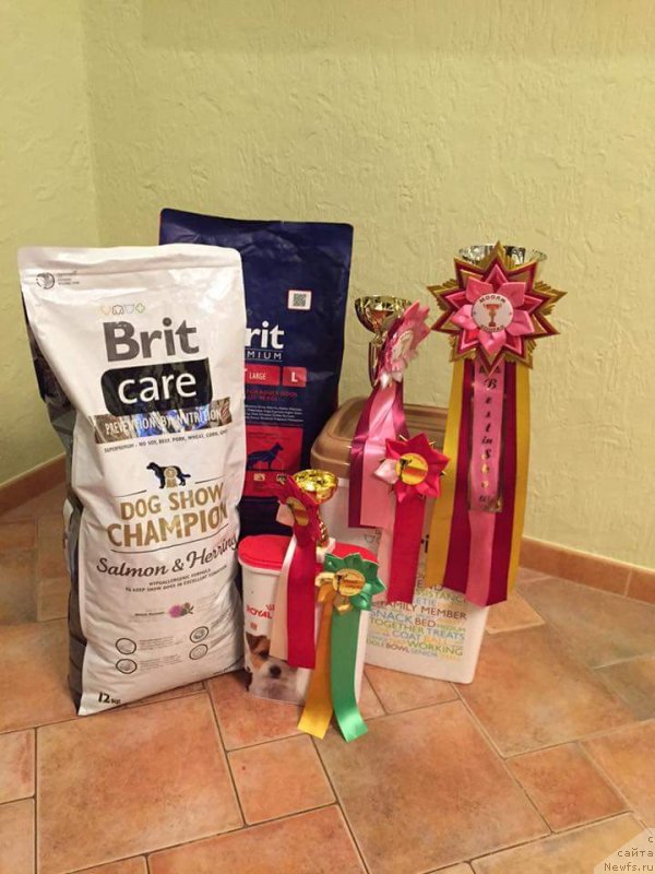 Фотография № 232320