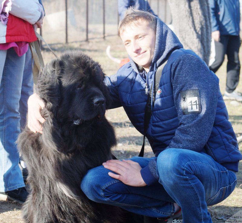 Фотография № 232323