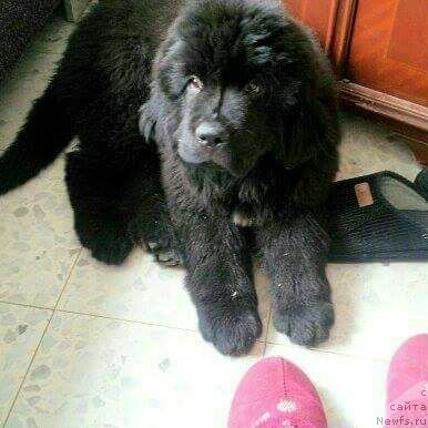 Фото: Игорь Штейнберг