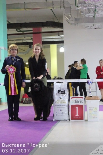 Фотография № 232336