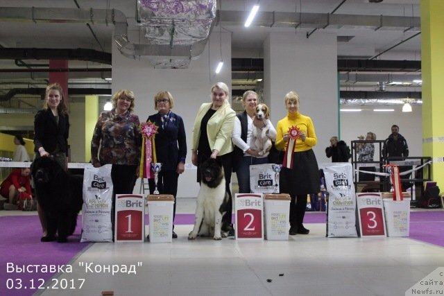 Фотография № 232337