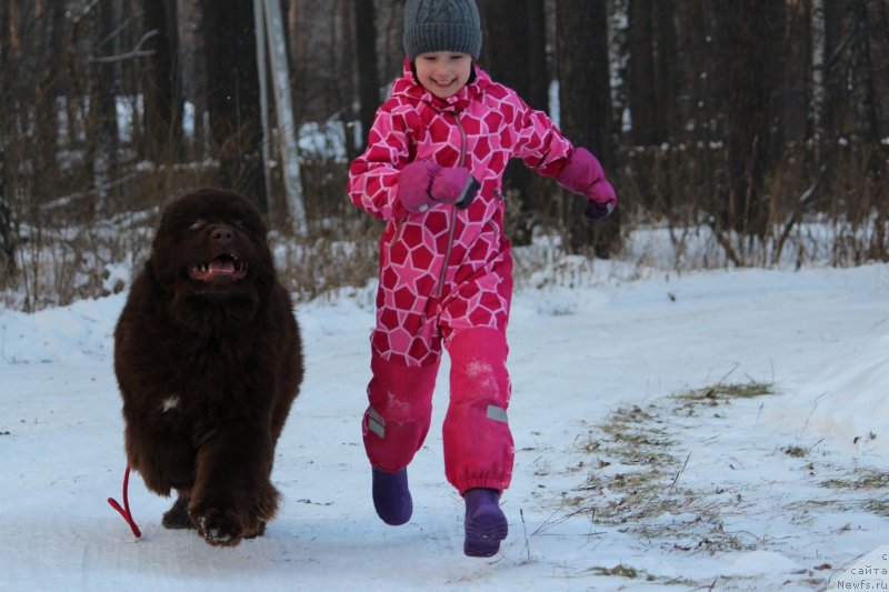 Фотография № 232363