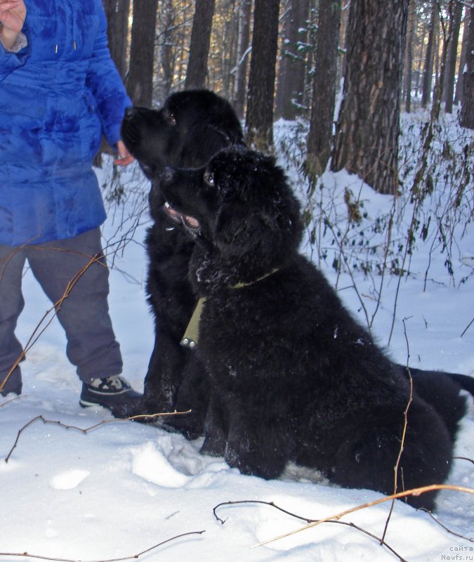 Фотография № 232365