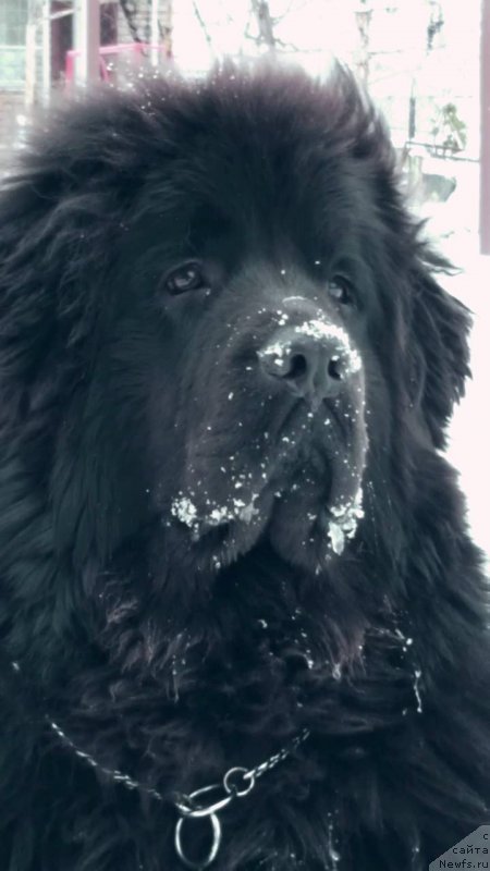 Фотография № 232369