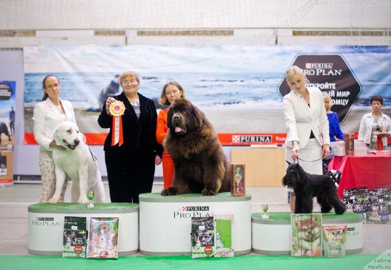 Фотография № 232379