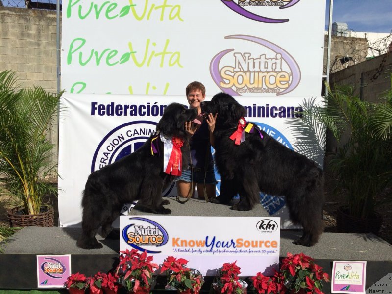 Фотография № 232392