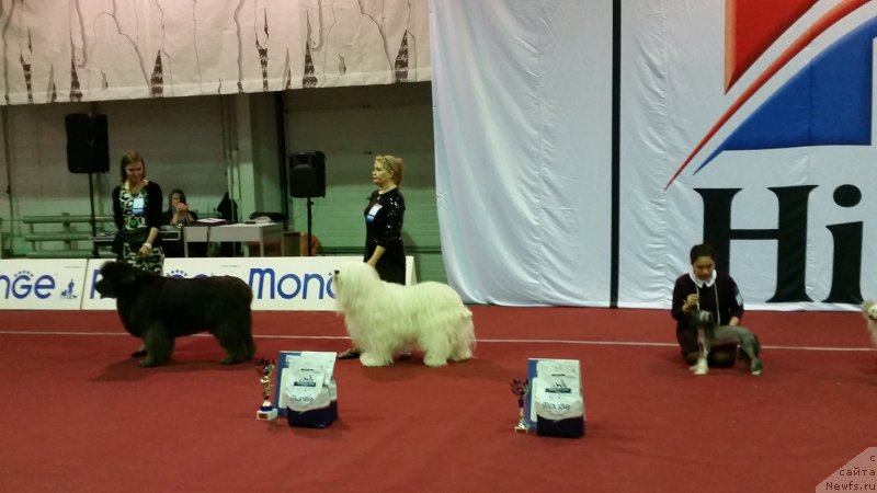 Фотография № 232435