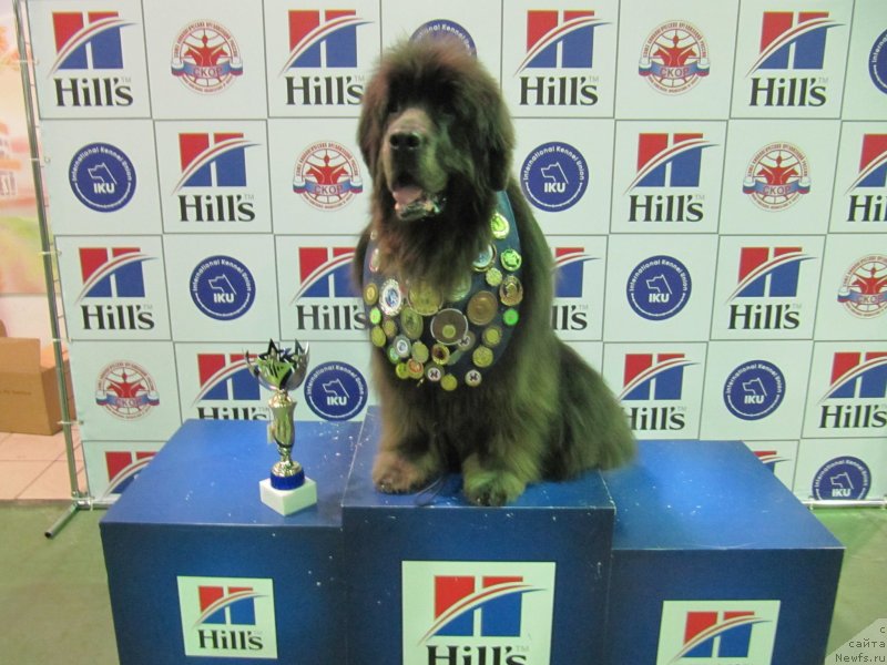 Фотография № 232436