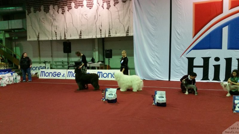 Фотография № 232437