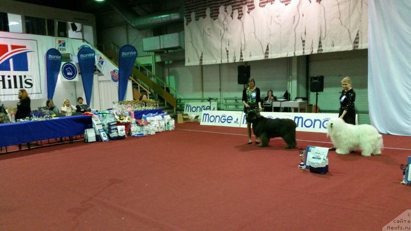 Фотография № 232438