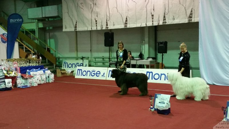 Фотография № 232439