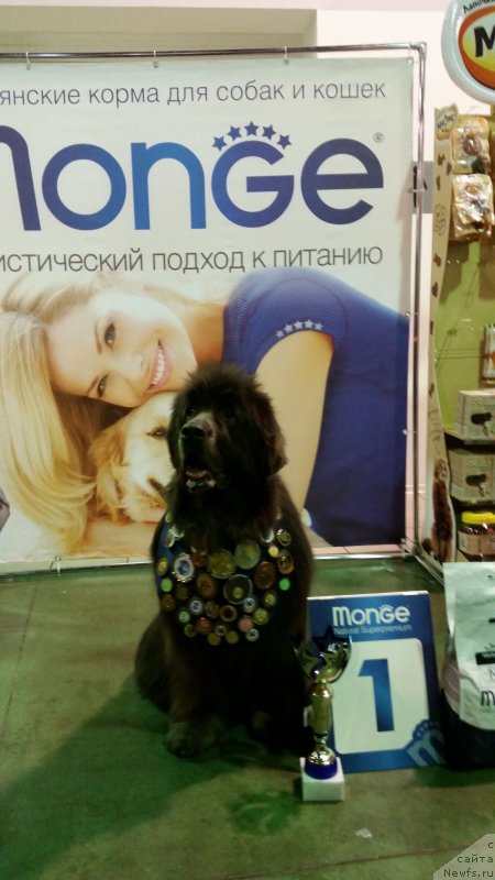 Фотография № 232442