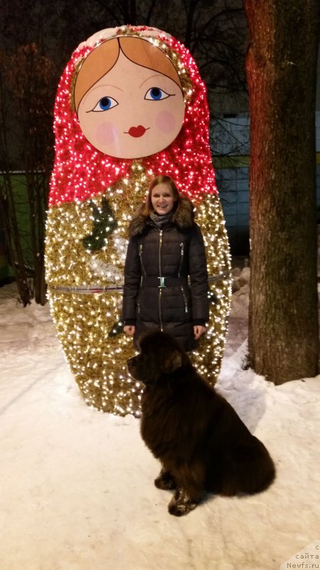 Фотография № 232444