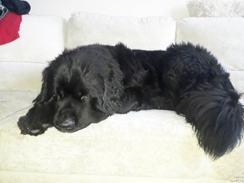 Фотография № 232462