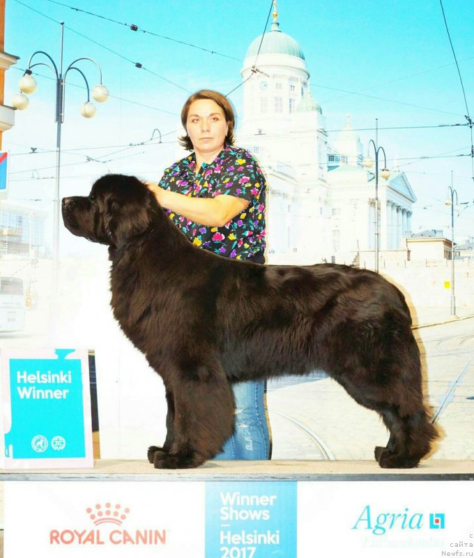 Фотография № 232471